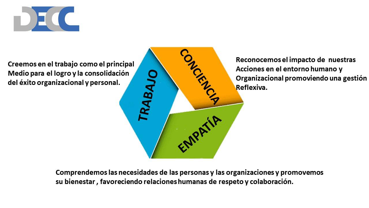 Evidencia DECC 10