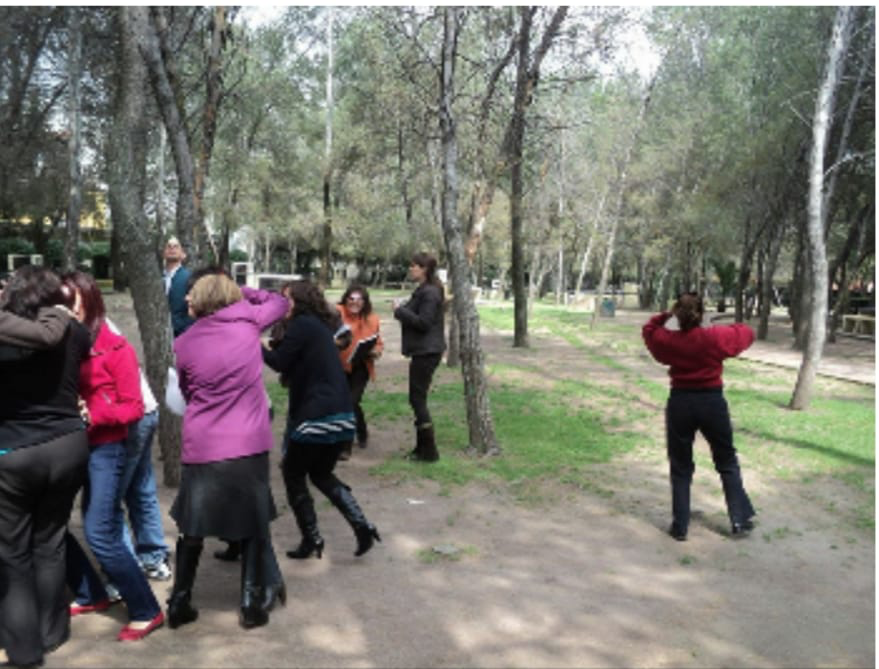 Evidencia DECC 7
